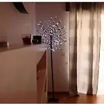 Apartment Carmix